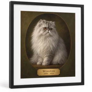 Cat memorial framed portrait – Cat Memorial Oil Portrait Framed Print with a silver-gray Persian and the text "Winston", "2008 – 2026", product photo on a white background