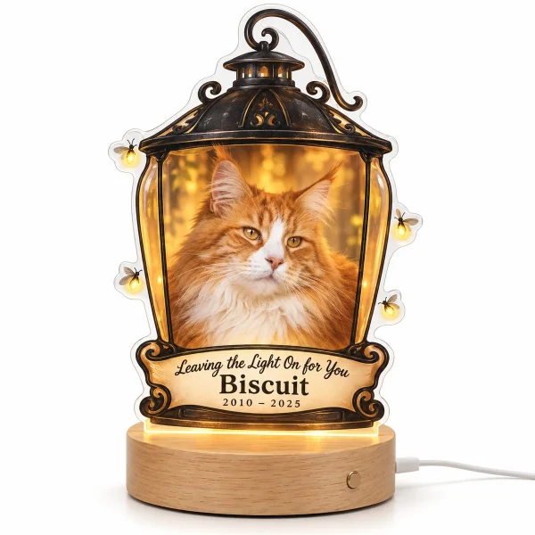Cat memorial night light – Cat Memorial Porch Lantern Night Light with a senior orange-and-white Maine Coon mix and the text "Leaving the Light On for You", "Biscuit", "2010 – 2025", product photo on a white background