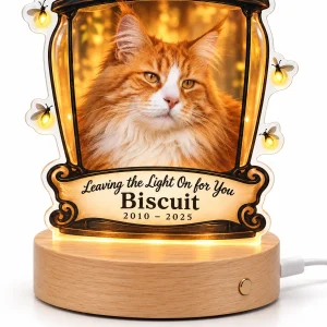 Close-up of the Cat Memorial Porch Lantern Night Light print showing the cat's fur detail and led acrylic night light