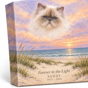 Close-up of the Coastal Sunset Cat Memorial Canvas print showing the cat's fur detail and the canvas weave