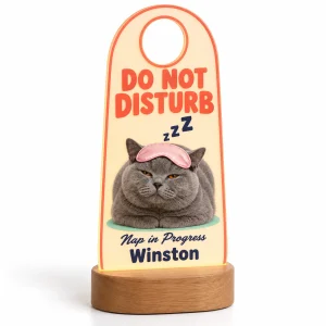 Personalized cat night light – Do Not Disturb Cat Nap Night Light with a blue-gray British Shorthair and the text "DO NOT DISTURB", "Nap in Progress", "Winston", product photo on a white background