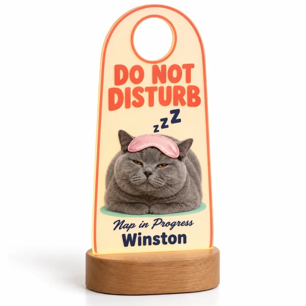 Personalized cat night light – Do Not Disturb Cat Nap Night Light with a blue-gray British Shorthair and the text "DO NOT DISTURB", "Nap in Progress", "Winston", product photo on a white background