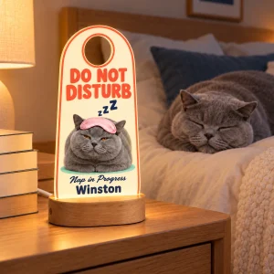 Do Not Disturb Cat Nap Night Light styled in a lifestyle scene – a dim cozy bedroom at night