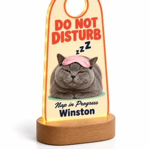 Close-up of the Do Not Disturb Cat Nap Night Light print showing the cat's fur detail and led acrylic night light