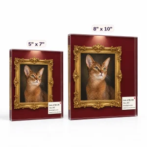 The Love of My Life Museum Label Cat Plaque in 5" x 7" and 8" x 10" sizes side by side