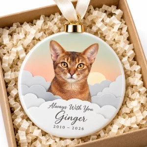 Close-up of the Paper-Cut Clouds Cat Loss Gift Set print showing the cat's fur detail and the porcelain ornament