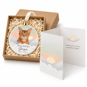 The sympathy card inside the Paper-Cut Clouds Cat Loss Gift Set with a gentle printed message