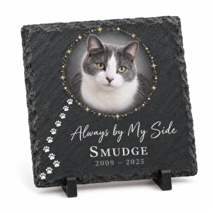 Cat memorial plaque – Paw Print Path Cat Memorial Slate Plaque with a blue-gray and white bicolor domestic shorthair and the text "Always by My Side", "Smudge", "2009 – 2025", product photo on a white background