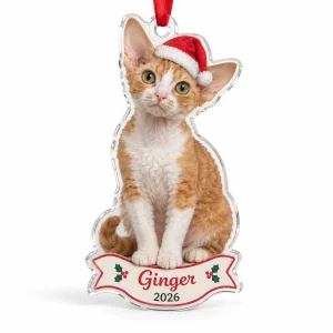Personalized cat ornament – Personalized Cat Photo Ornament with a ginger-and-white Devon Rex and the text "Ginger", "2026", product photo on a white background