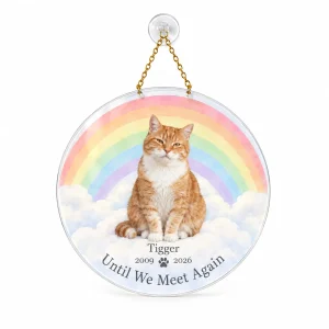 Rainbow bridge cat suncatcher – Rainbow Bridge Cat Memorial Suncatcher with a senior orange-and-white tabby and the text "Until We Meet Again", "Tigger", "2009 – 2026", product photo on a white background