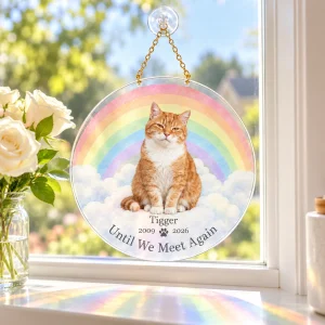 Rainbow Bridge Cat Memorial Suncatcher styled in a lifestyle scene – hanging in a sunny kitchen window, rainbow-colored light falling on the white sill, a small jar of white daisies beside it, calm morning