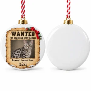 Front and back of the Santa's Most Wanted Cat Ornament