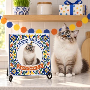 Talavera Cat Birthday Ceramic Tile styled in a lifestyle scene – a sunny kitchen shelf decorated for a birthday with a paper garland, a small wrapped gift and a ceramic dish of cat treats set high out of reach